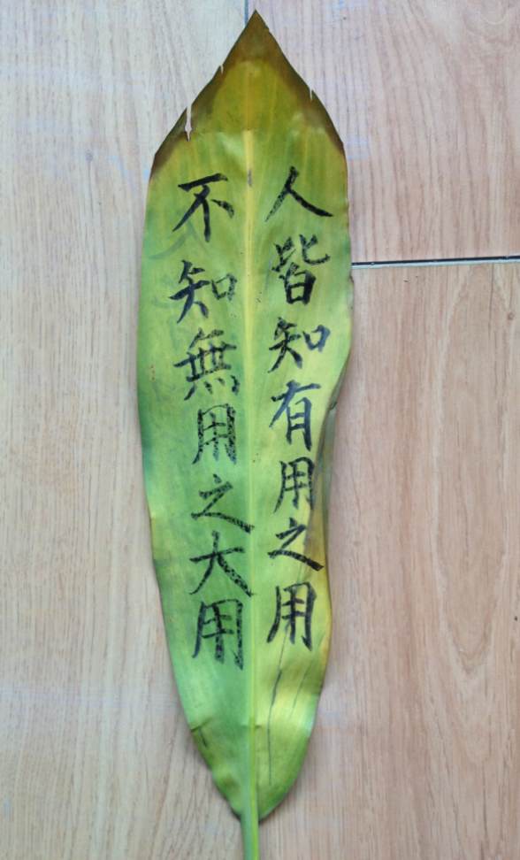 青桐居士●西岭雪山●丁红宇之树叶题字人皆知有用之用不知无用之用
